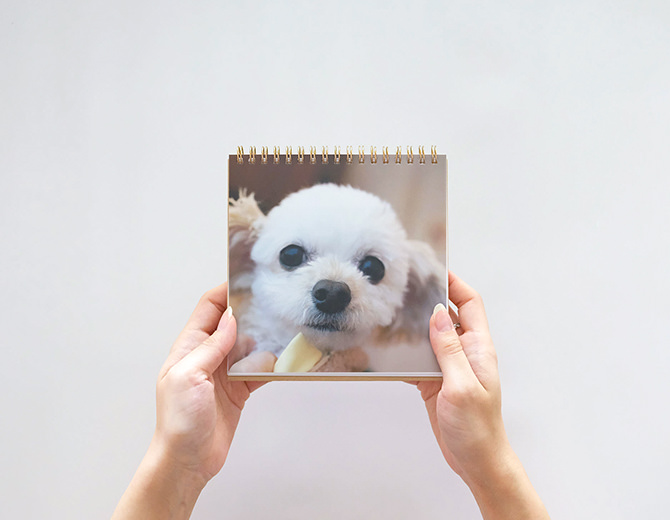 カジュアルでおしゃれなクラフト表紙