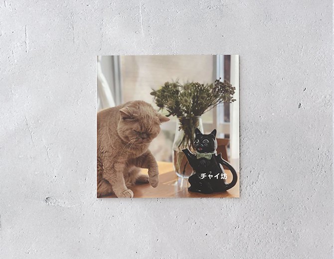 魅力的な雰囲気をまとう「スクエアフォーマット」