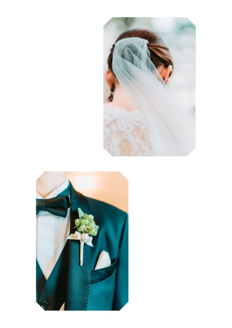 デザインサンプル