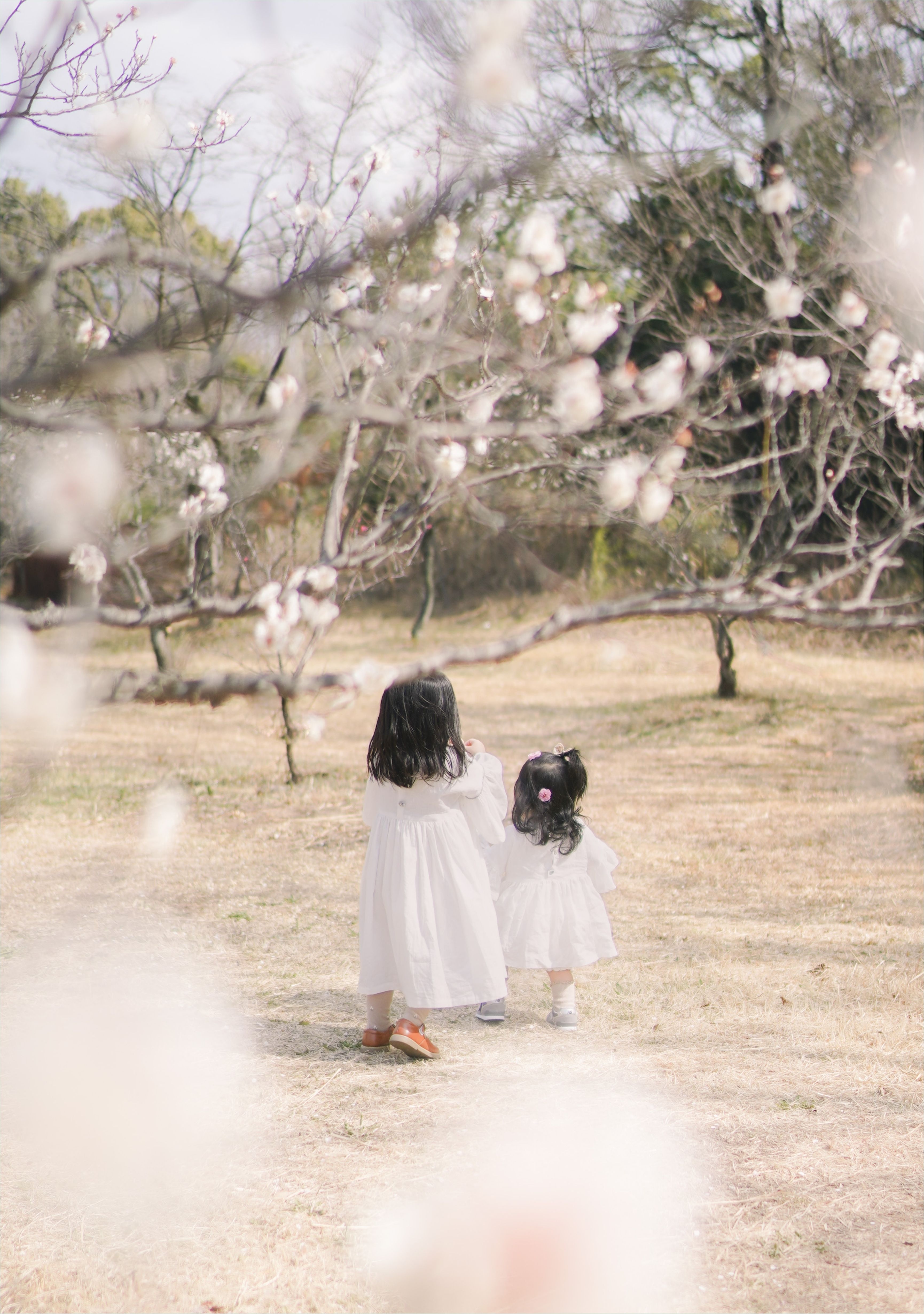 デザインサンプル