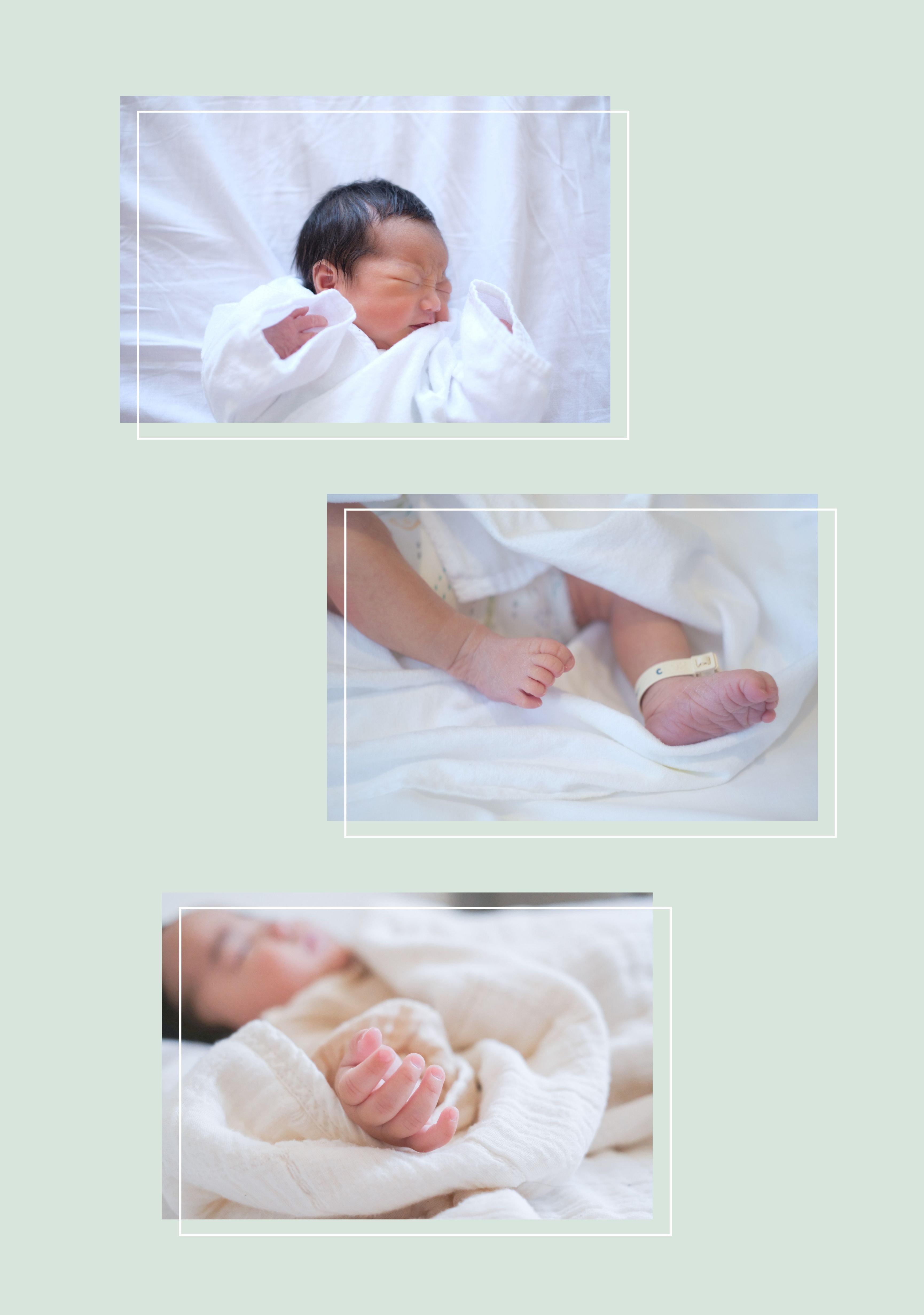 デザインサンプル