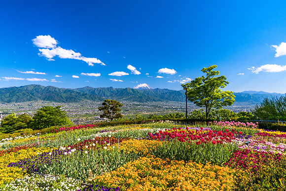 一輪の花も 広大な花畑も ワンランク上の写真が撮れる 花の撮影テクニック 富士フイルムのフォトブック