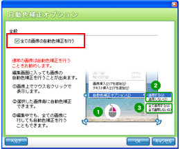 自動色補正オプション