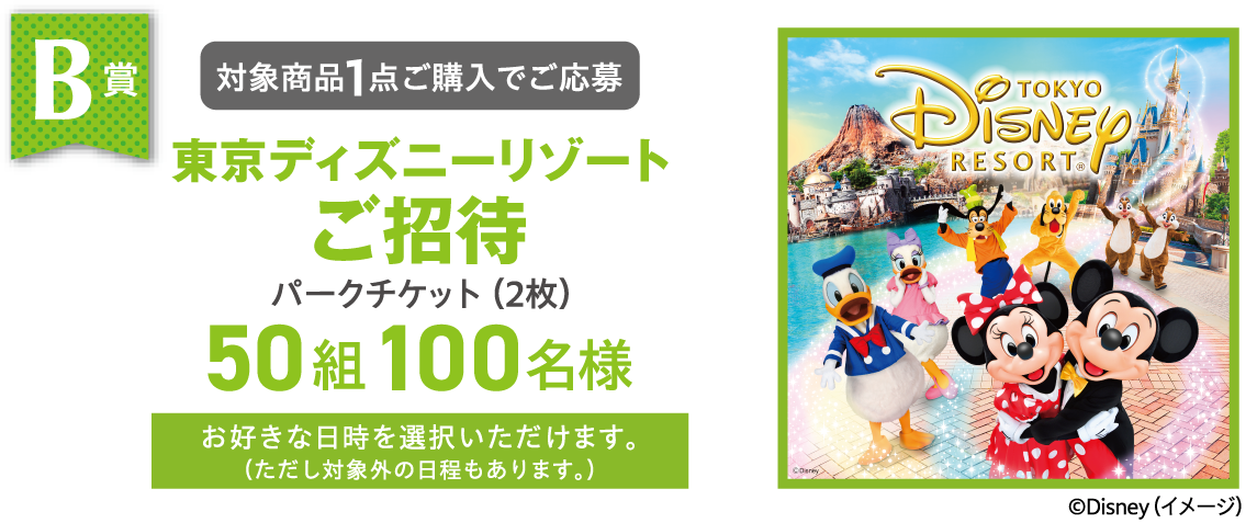 B賞 東京ディズニーリゾートご招待