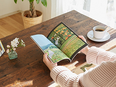 花の写真を上手に撮るための準備と便利グッズ