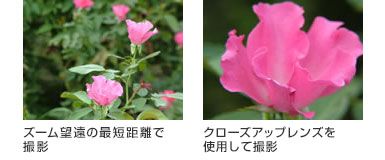 クローズアップレンズ使用有無比較画像