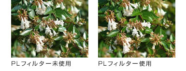 PLフィルター使用有無比較画像