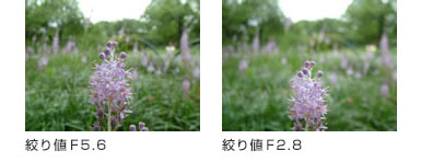 絞り値比較画像