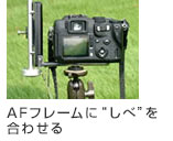 AFフレームにシベを合わせる画像