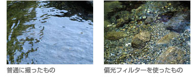 レンズフィルターの使用比較画像
