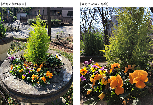 寄り撮影の比較画像