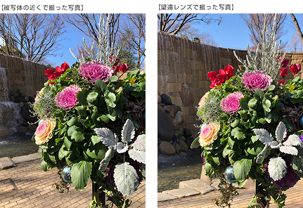 望遠レンズ使用有無の比較画像
